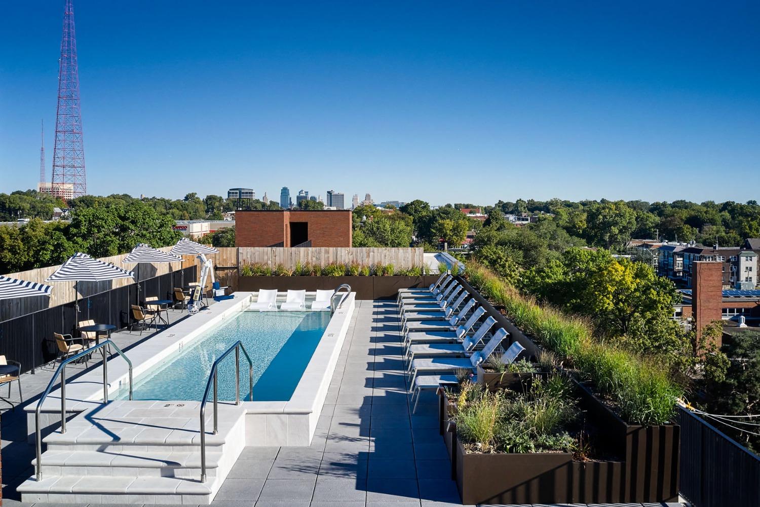 Rooftop pool with lounge chairs and umbrellas, surrounded by greenery, overlooks a cityscape with a tall radio tower under a clear blue sky.