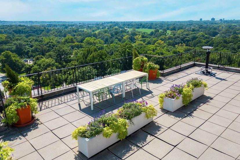 Rooftop terrace with a long table and chairs, surrounded by planters filled with green and flowering plants, overlooking a lush green landscape.
