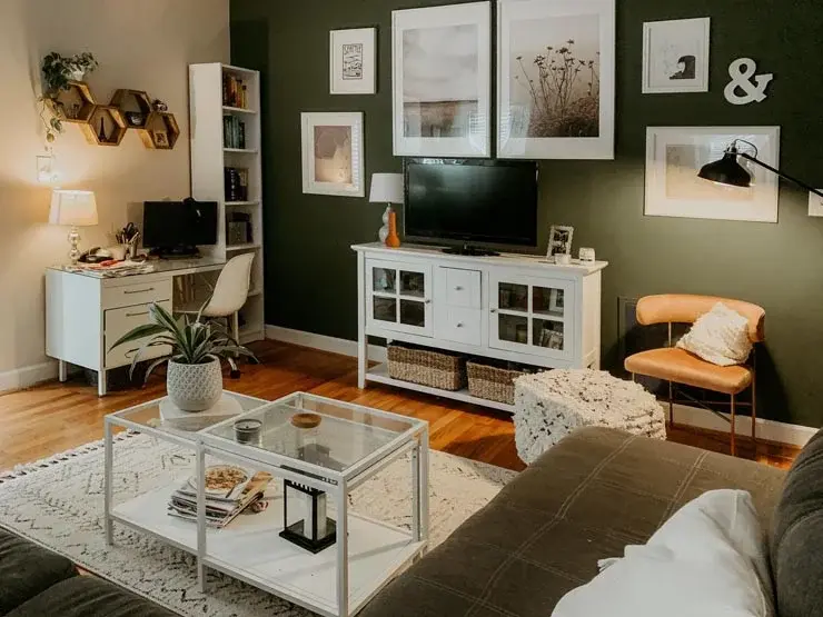 Logan's Saint Louis apartment living room