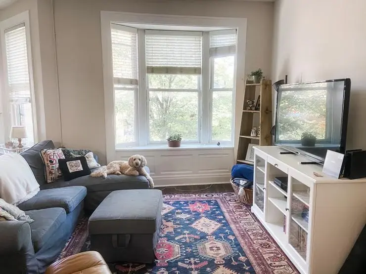 Sarah's Saint Louis apartment living room