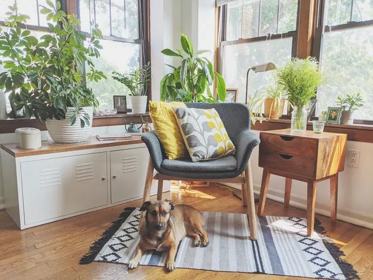 Miranda's Kansas City apartment living room
